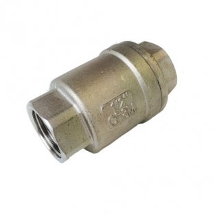 Stainless Spring Check Valve 2-Piece